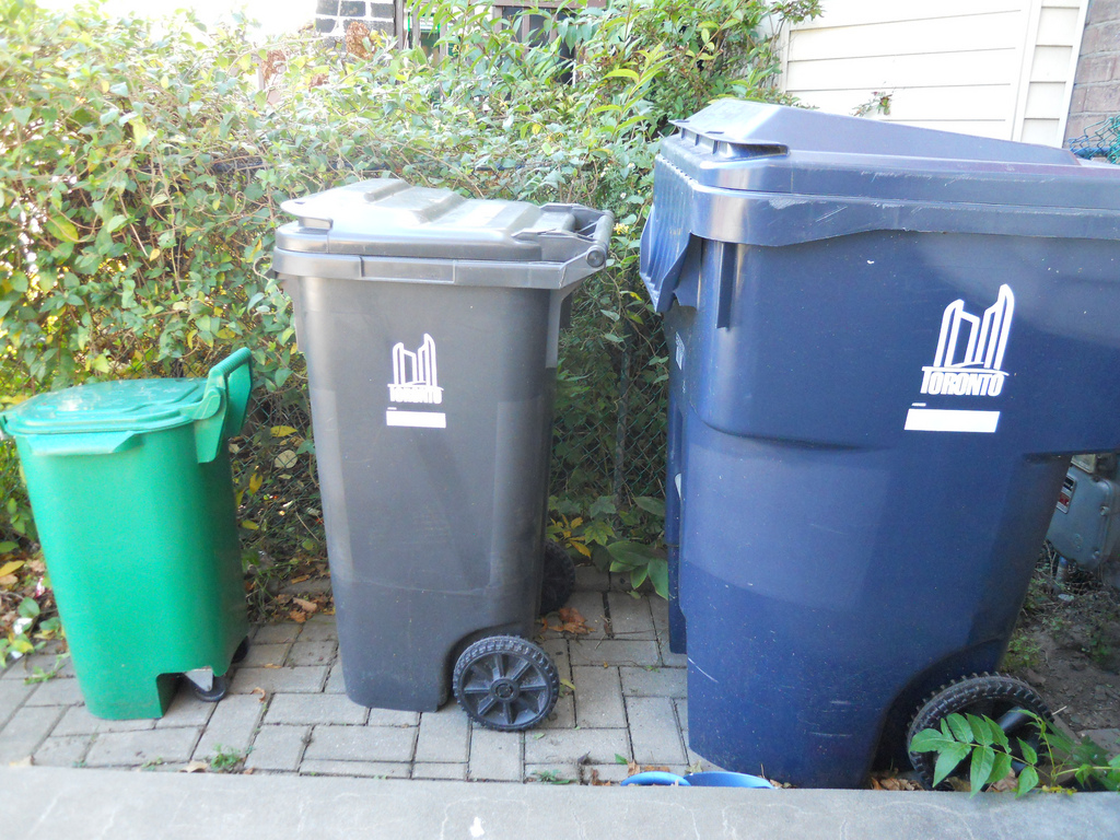 Green organics bin, grey garbage bin and blue recycling bin set out on a Toronto driveway
