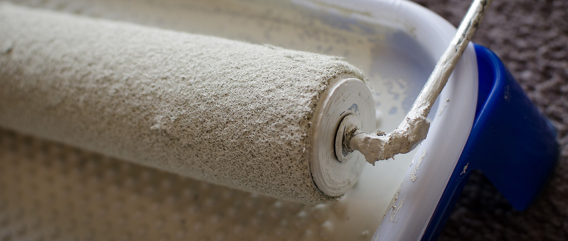 Close-up of a paint roller loaded with white paint resting in a paint tray