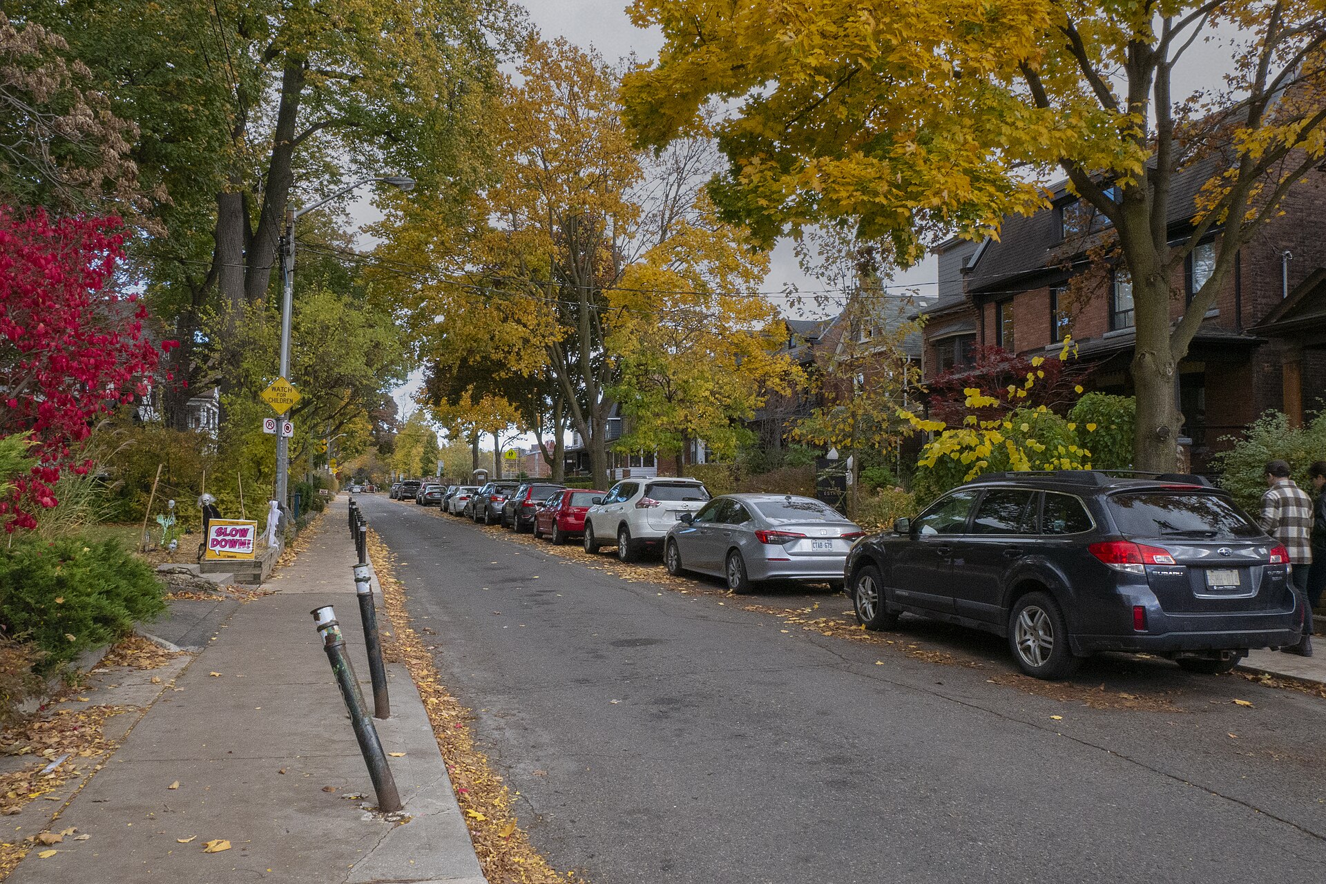 Quiet tree-lined residential street in Toronto with parked cars, brick houses and autumn leaves